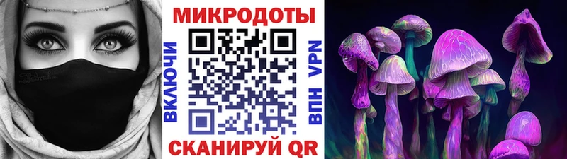 Псилоцибиновые грибы Magic Shrooms  Чадан 