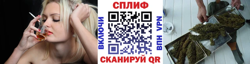 Бошки Шишки планчик  Чадан 